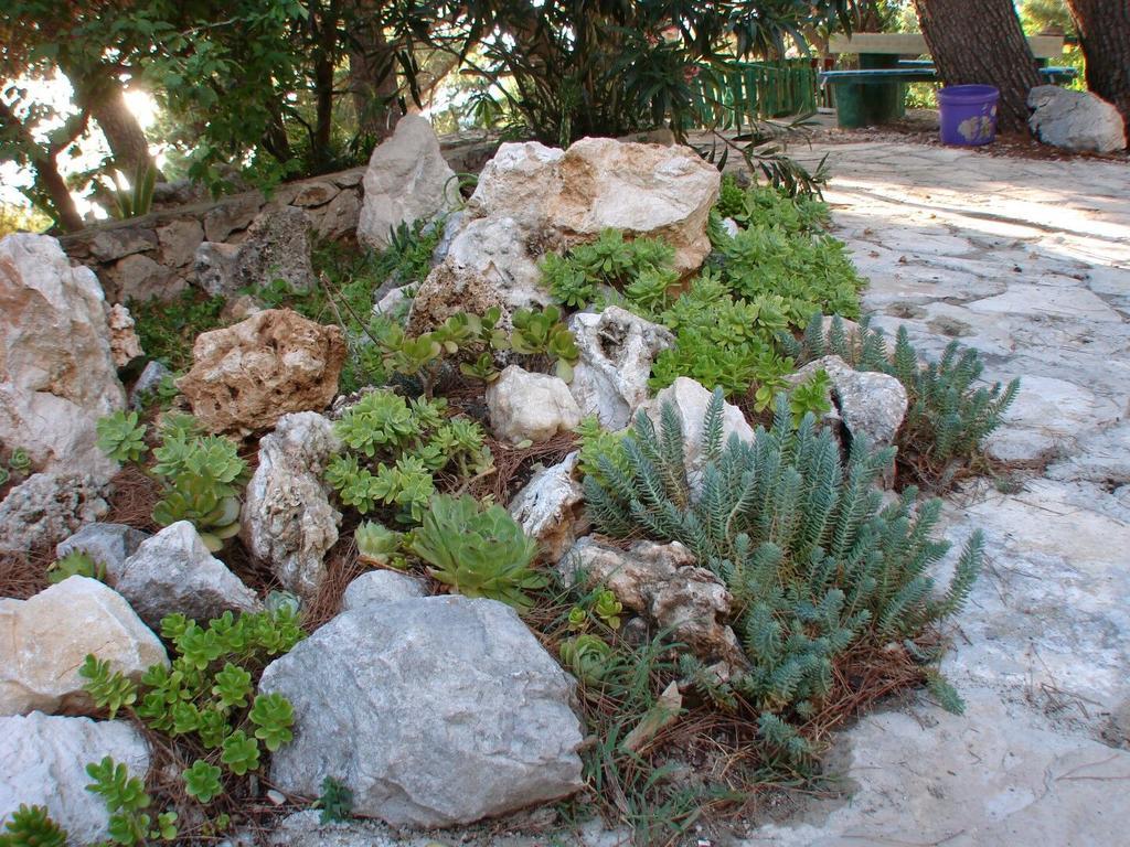 Apartment Gal Podgora Exterior foto